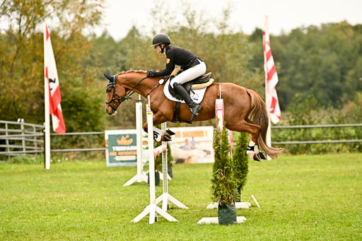 9-12.10.2025 Ströhen | Anna Katharina Thomasmeyer - Schwuppdiewupp _30 