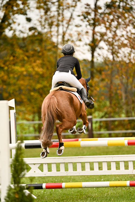 9-12.10.2025 Ströhen | Anna Katharina Thomasmeyer - Schwuppdiewupp _32 