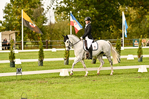 9-12.10.2025 Ströhen | Anna Schwanbeck - Miss Windsor _14 