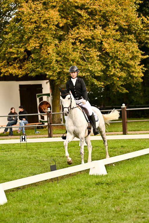 9-12.10.2025 Ströhen | Anna Schwanbeck - Miss Windsor _15 