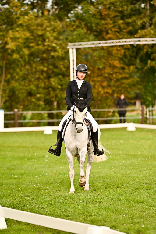 9-12.10.2025 Ströhen | Anna Schwanbeck - Miss Windsor _18 