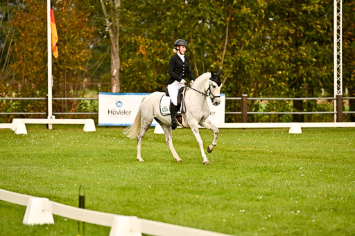 9-12.10.2025 Ströhen | Anna Schwanbeck - Miss Windsor _19 