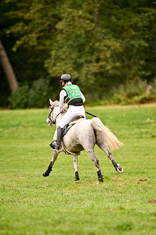 9-12.10.2025 Ströhen | Anna Schwanbeck - Miss Windsor _42 