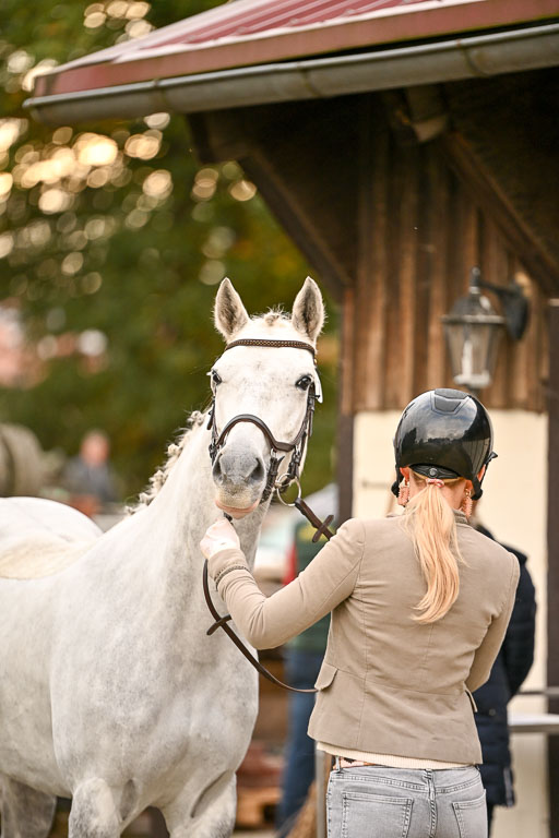 9-12.10.2025 Ströhen | Anna Schwanbeck - Miss Windsor _43 