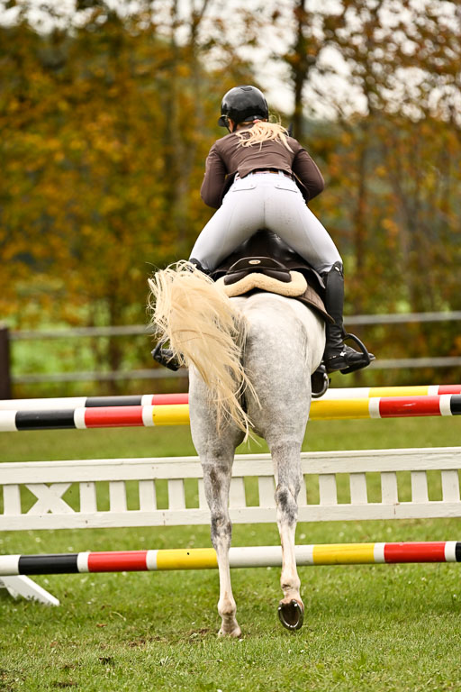 9-12.10.2025 Ströhen | Anna Schwanbeck - Miss Windsor _56 