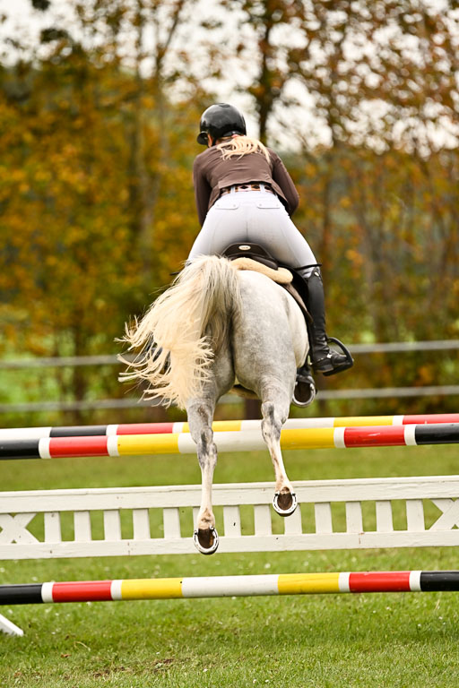 9-12.10.2025 Ströhen | Anna Schwanbeck - Miss Windsor _57 