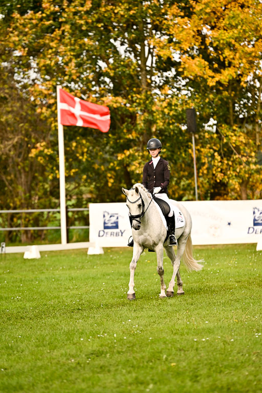 9-12.10.2025 Ströhen | Anna von Helldorf - Marlon_001 