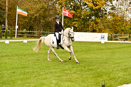 9-12.10.2025 Ströhen | Anna von Helldorf - Marlon_012 