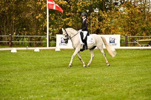 9-12.10.2025 Ströhen | Anna von Helldorf - Marlon_013 
