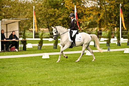 9-12.10.2025 Ströhen | Anna von Helldorf - Marlon_016 
