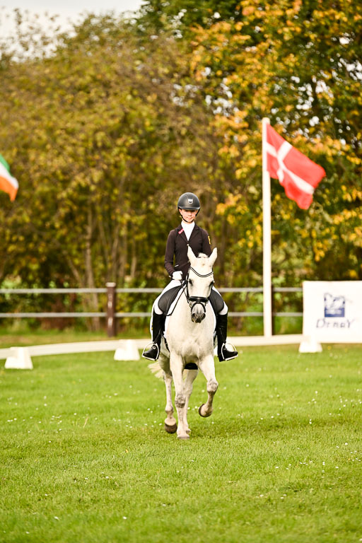 9-12.10.2025 Ströhen | Anna von Helldorf - Marlon_019 