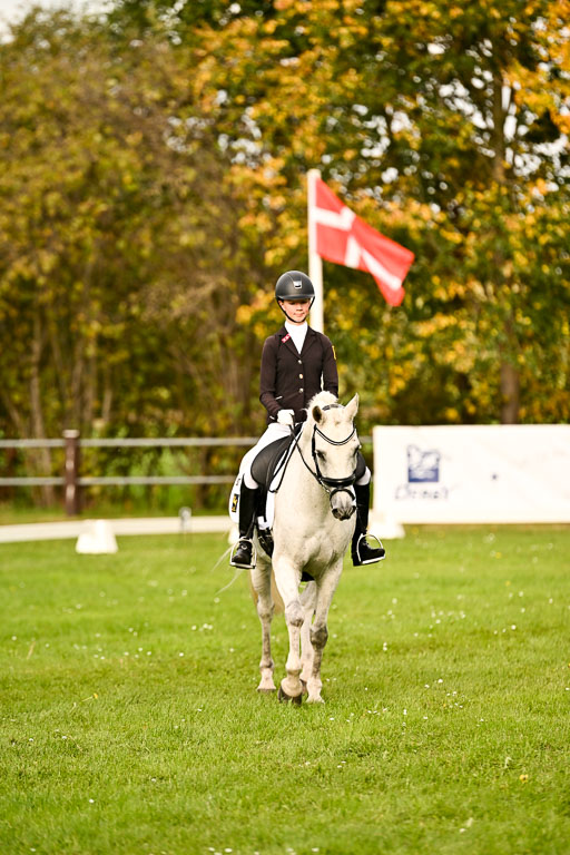 9-12.10.2025 Ströhen | Anna von Helldorf - Marlon_020 