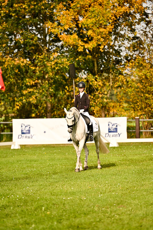 9-12.10.2025 Ströhen | Anna von Helldorf - Marlon_022 