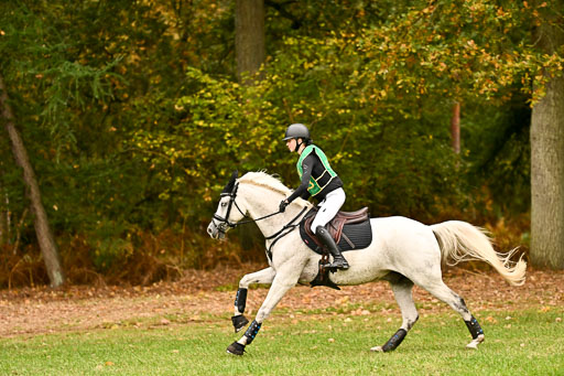 9-12.10.2025 Ströhen | Anna von Helldorf - Marlon_058 
