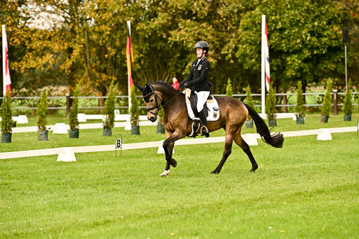9-12.10.2025 Ströhen | Brügger, Lea - Golden Girl _07 