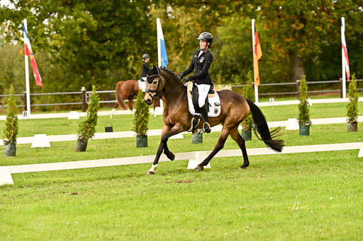 9-12.10.2025 Ströhen | Brügger, Lea - Golden Girl _08 