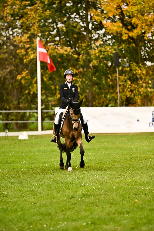 9-12.10.2025 Ströhen | Brügger, Lea - Golden Girl _09 