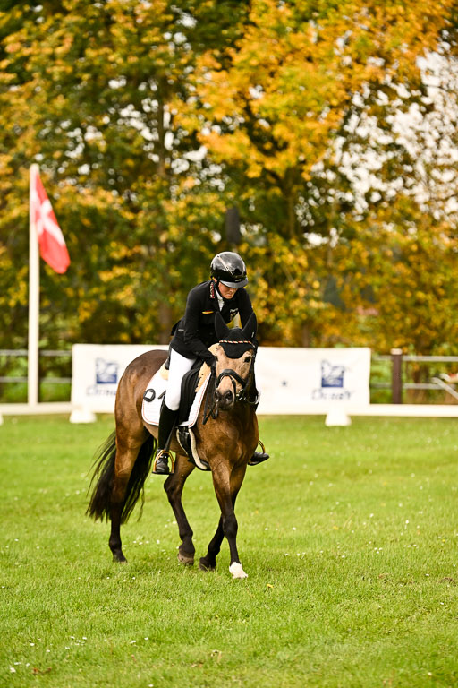 9-12.10.2025 Ströhen | Brügger, Lea - Golden Girl _15 