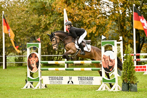 9-12.10.2025 Ströhen | Brügger, Lea - Golden Girl _24 