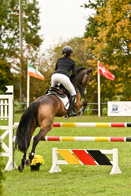 9-12.10.2025 Ströhen | Brügger, Lea - Golden Girl _29 