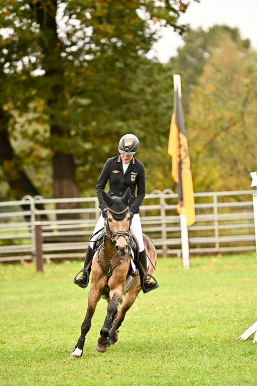 9-12.10.2025 Ströhen | Brügger, Lea - Golden Girl _36 