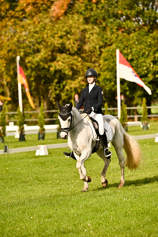 9-12.10.2025 Ströhen | Charlotte Rixen - Canal Daisy_01 