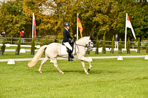 9-12.10.2025 Ströhen | Charlotte Rixen - Canal Daisy_05 