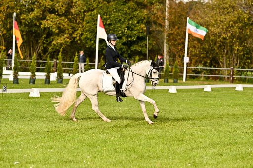 9-12.10.2025 Ströhen | Charlotte Rixen - Canal Daisy_06 