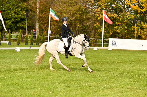 9-12.10.2025 Ströhen | Charlotte Rixen - Canal Daisy_07 