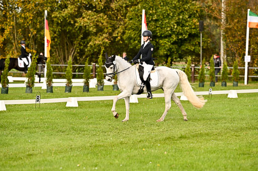 9-12.10.2025 Ströhen | Charlotte Rixen - Canal Daisy_08 