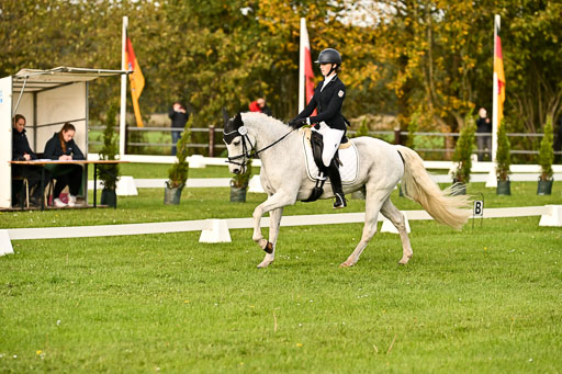 9-12.10.2025 Ströhen | Charlotte Rixen - Canal Daisy_09 