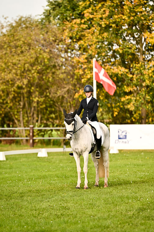 9-12.10.2025 Ströhen | Charlotte Rixen - Canal Daisy_13 