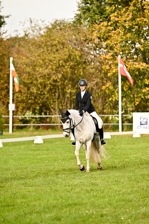 9-12.10.2025 Ströhen | Charlotte Rixen - Canal Daisy_14 