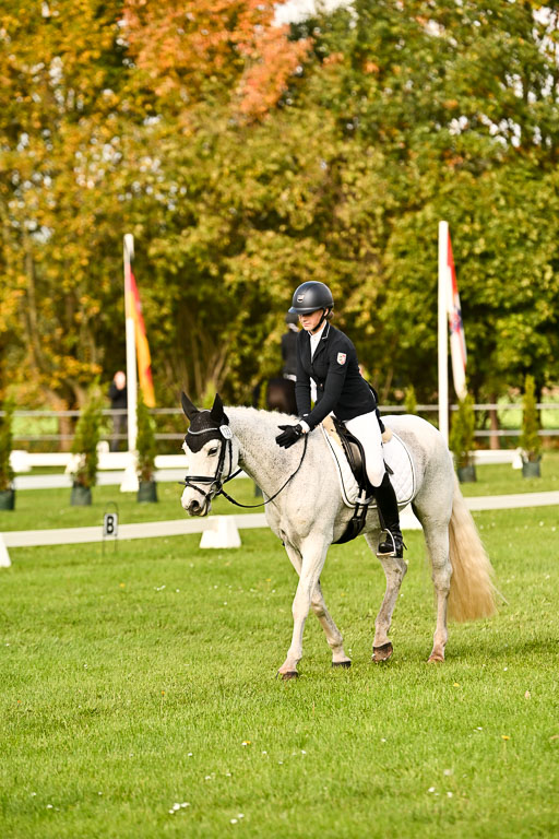 9-12.10.2025 Ströhen | Charlotte Rixen - Canal Daisy_15 