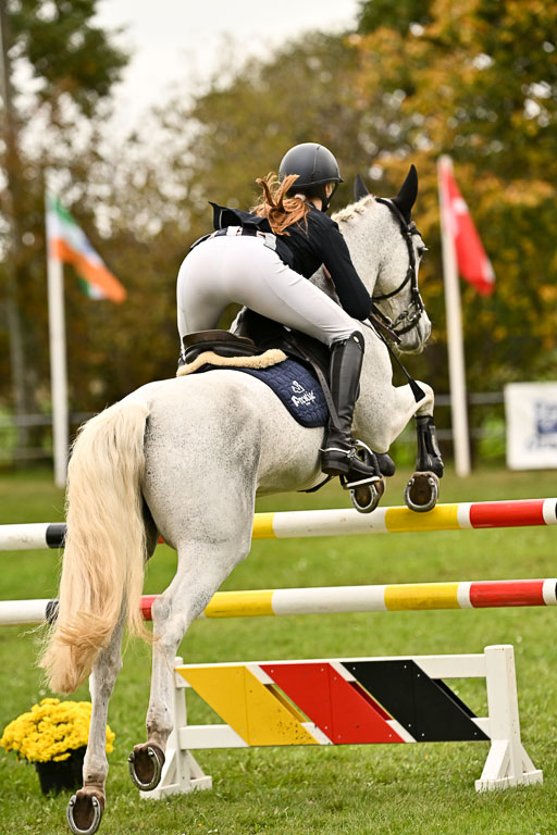 9-12.10.2025 Ströhen | Charlotte Rixen - Canal Daisy_28 