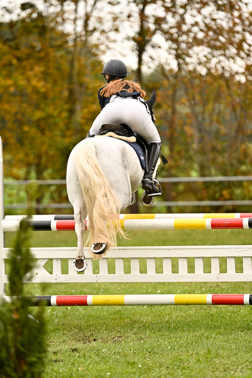 9-12.10.2025 Ströhen | Charlotte Rixen - Canal Daisy_29 