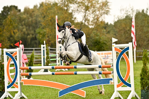 9-12.10.2025 Ströhen | Charlotte Rixen - Canal Daisy_32 