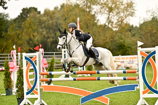 9-12.10.2025 Ströhen | Charlotte Rixen - Canal Daisy_33 