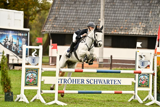 9-12.10.2025 Ströhen | Charlotte Rixen - Canal Daisy_34 