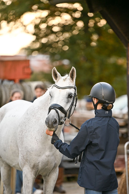 9-12.10.2025 Ströhen | DSC_9517 