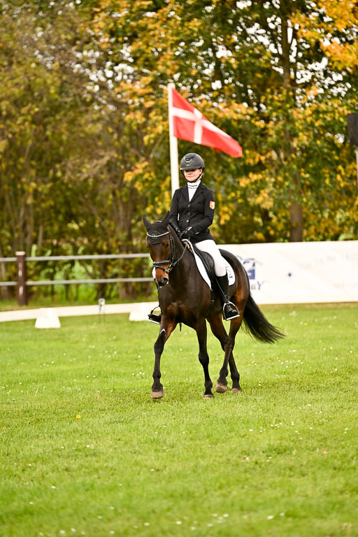 9-12.10.2025 Ströhen | Emma Triphaus - Calle Cool _007 