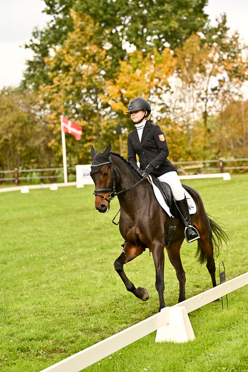 9-12.10.2025 Ströhen | Emma Triphaus - Calle Cool _018 