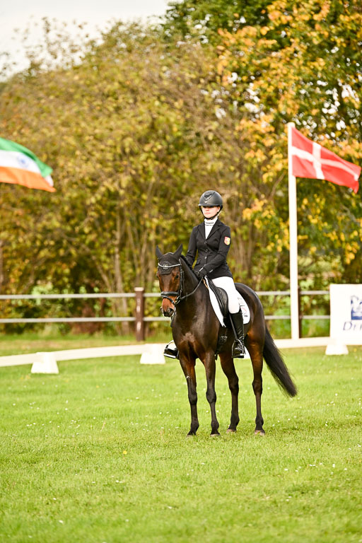 9-12.10.2025 Ströhen | Emma Triphaus - Calle Cool _028 