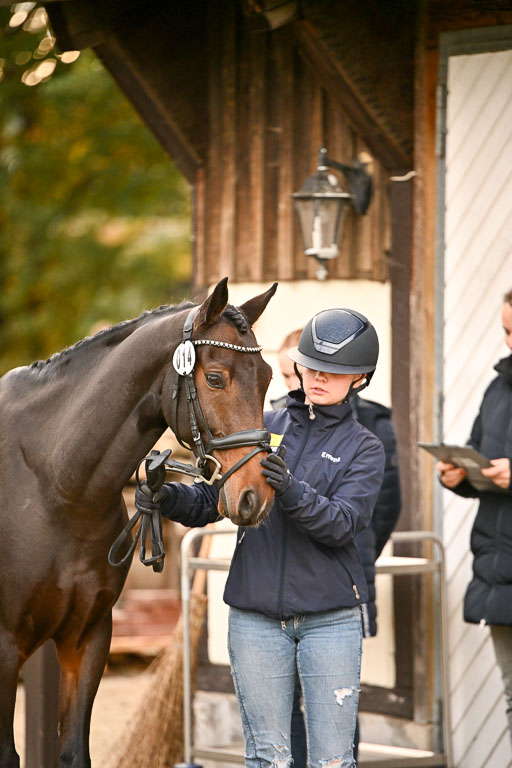 9-12.10.2025 Ströhen | Emma Triphaus - Calle Cool _049 