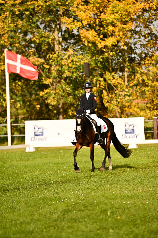 9-12.10.2025 Ströhen | Greta Marie Löhr - Rathcline Dream_06 