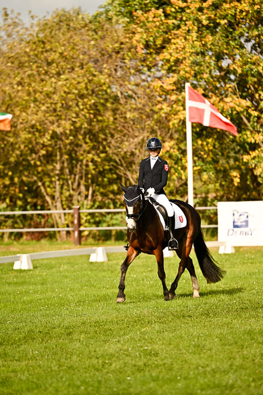 9-12.10.2025 Ströhen | Greta Marie Löhr - Rathcline Dream_07 