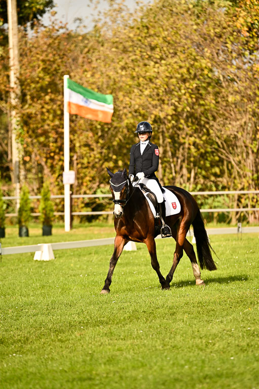 9-12.10.2025 Ströhen | Greta Marie Löhr - Rathcline Dream_08 