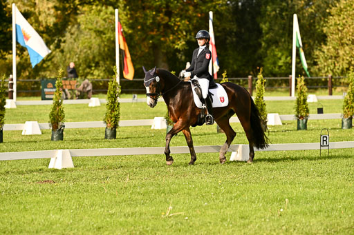 9-12.10.2025 Ströhen | Greta Marie Löhr - Rathcline Dream_11 