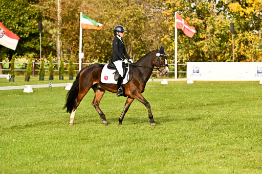 9-12.10.2025 Ströhen | Greta Marie Löhr - Rathcline Dream_13 