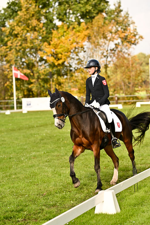 9-12.10.2025 Ströhen | Greta Marie Löhr - Rathcline Dream_14 